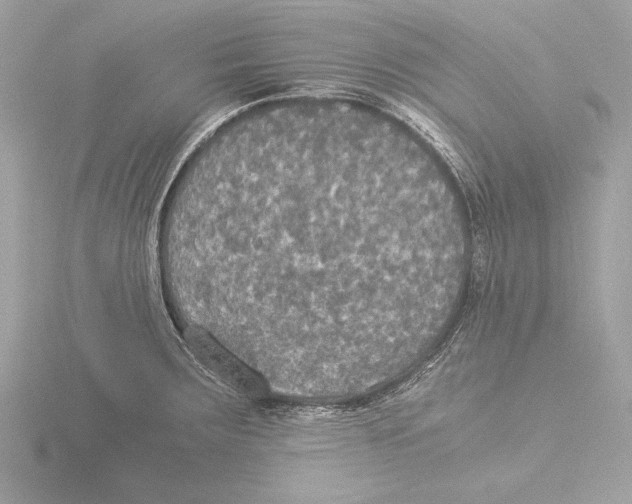 X0000116021283200912181142