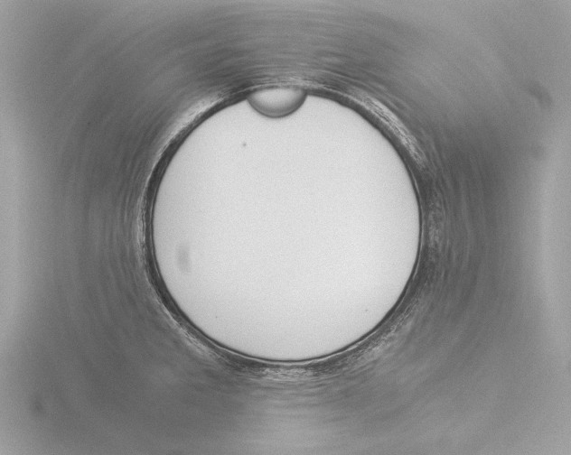 X0000116021285200912181142