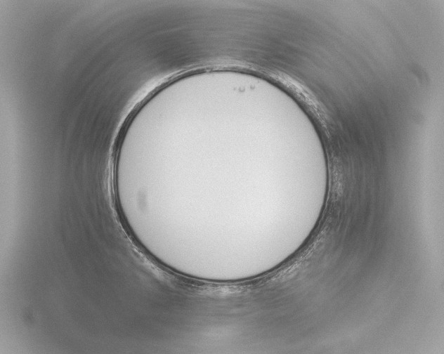 X0000116021286200912181142