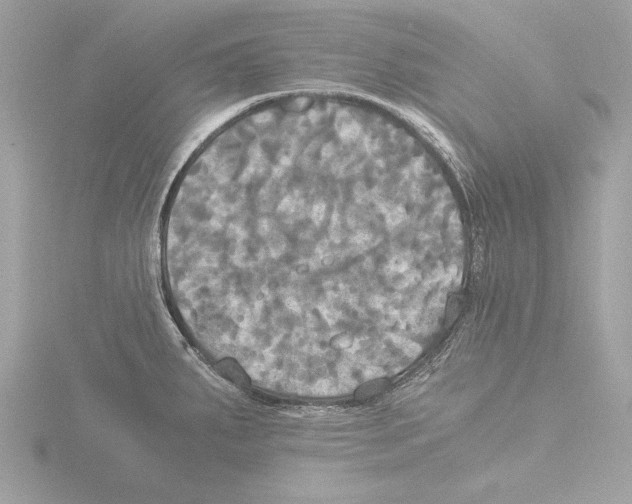 X0000116021287200912181142