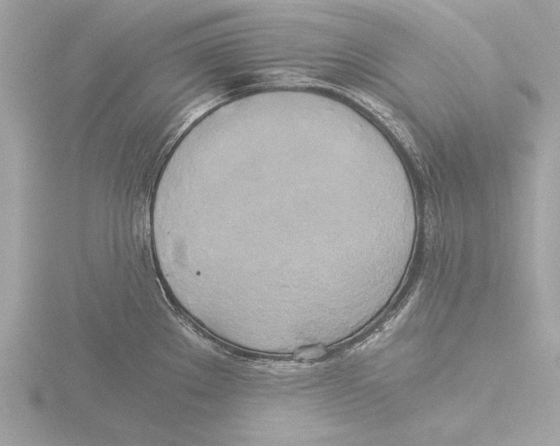 X0000116021289200912181141