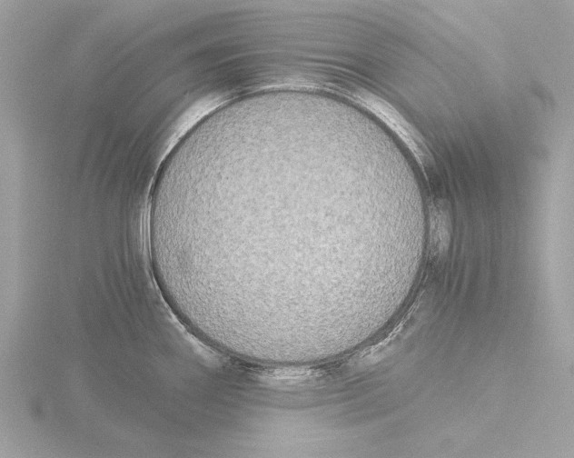 X0000116021290200912181141