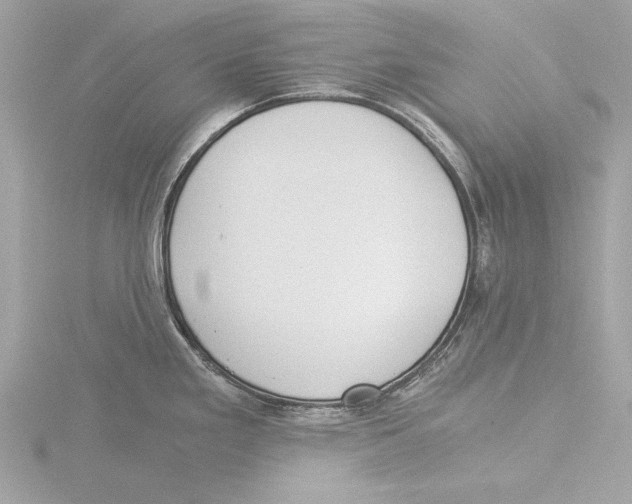 X0000116021293200912181141