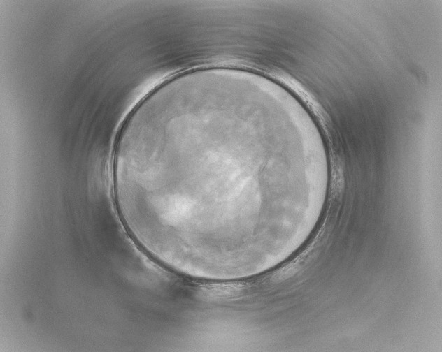 X0000116021294200912181141