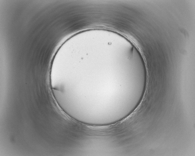 X0000116021296200912181141