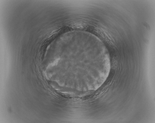 X0000116021297200912181141