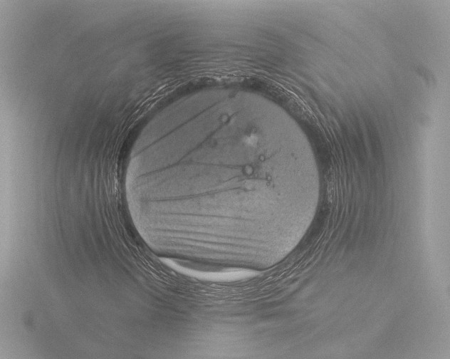 X0000116021298200912181141