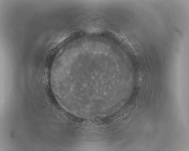 X0000116021301200912181141