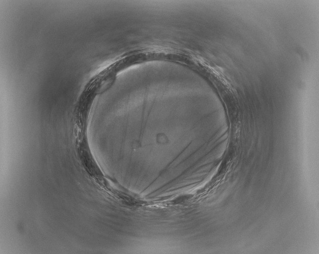 X0000116021303200912181141