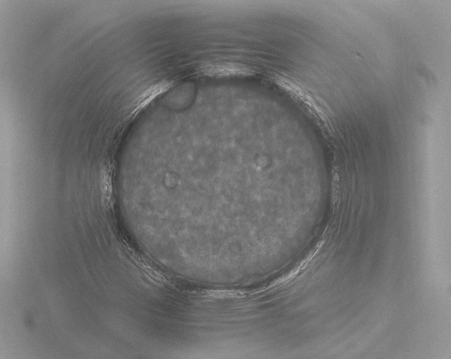 X0000116021305200912181141