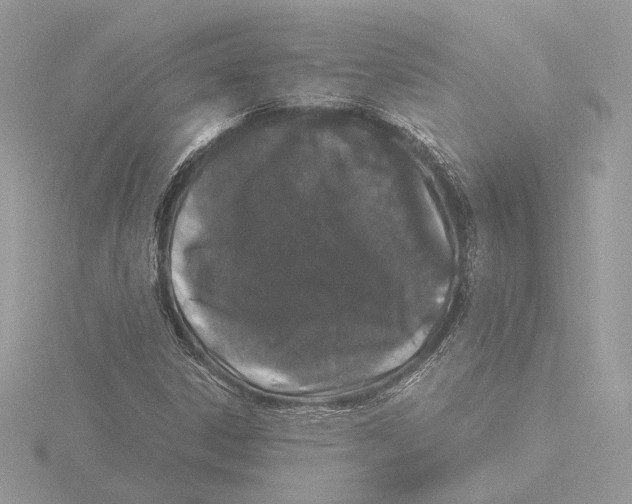 X0000116021306200912181141