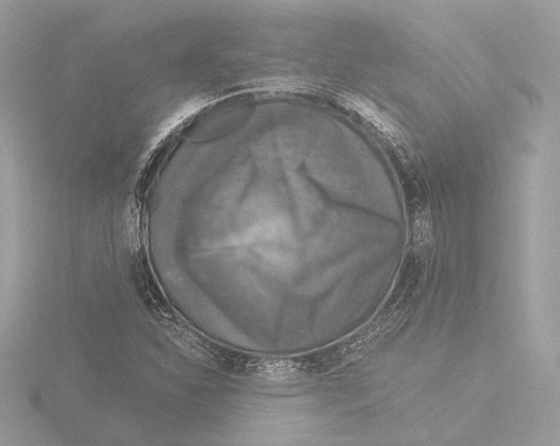 X0000116021310200912181141