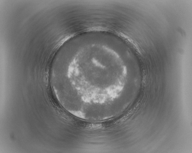 X0000116021313200912181141