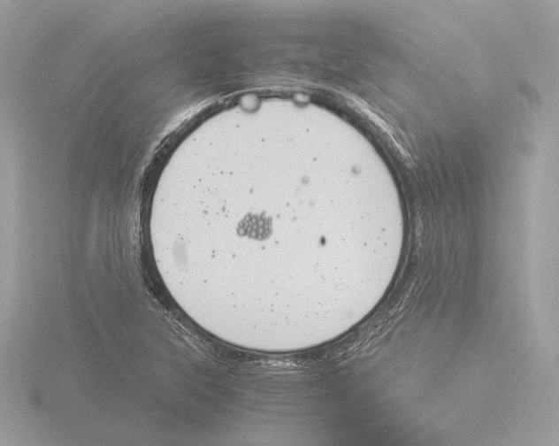 X0000116021315200912181141