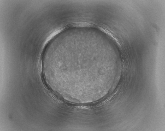 X0000116021317200912181141