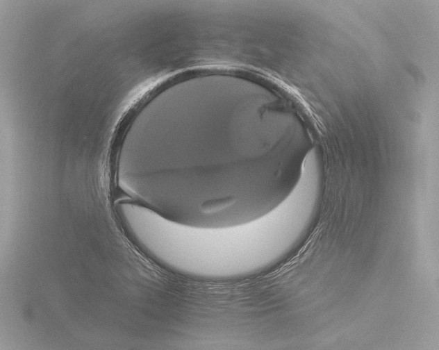 X0000116021319200912181141