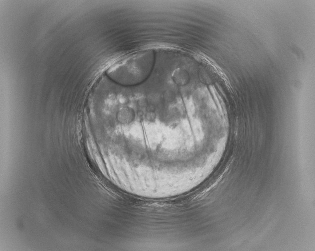 X0000116021321200912181141