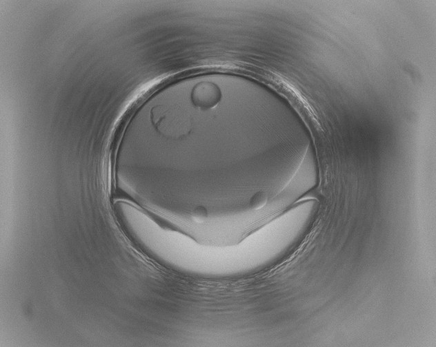 X0000116021323200912181141