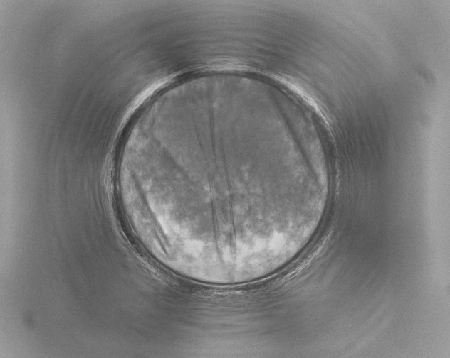 X0000116021325200912181141