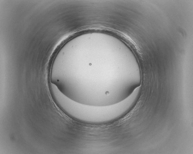 X0000116021326200912181141