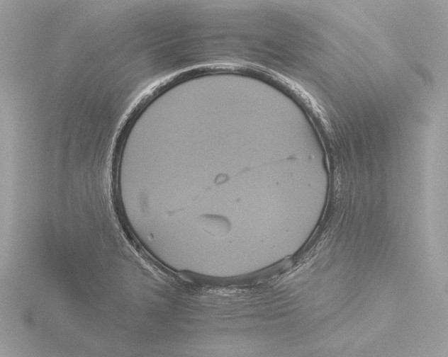 X0000116021327200912181141