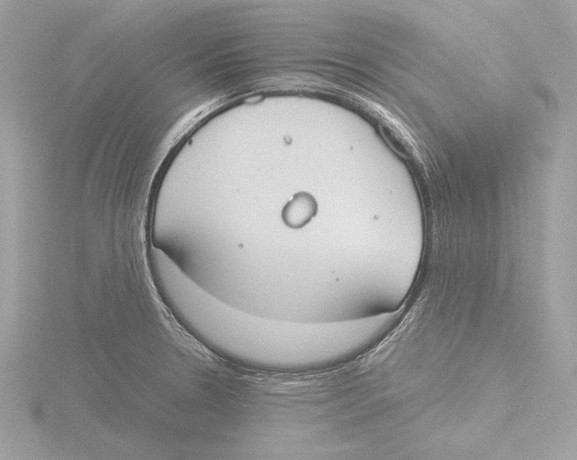 X0000116021330200912181141