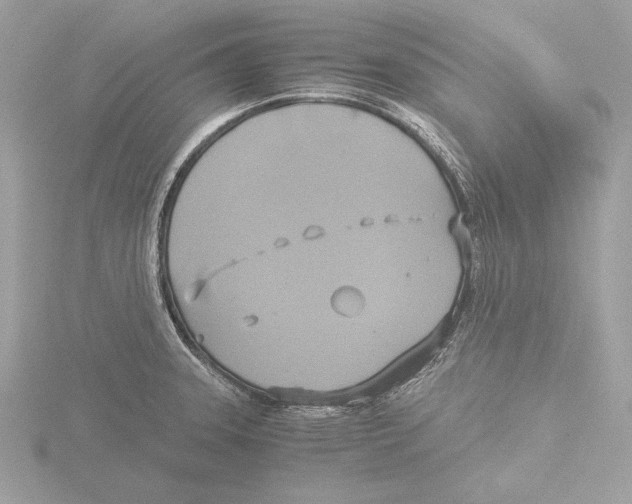 X0000116021331200912181141