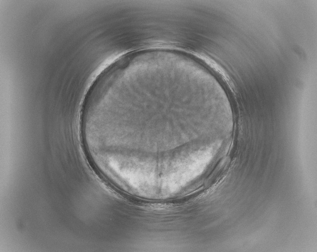 X0000116021333200912181141