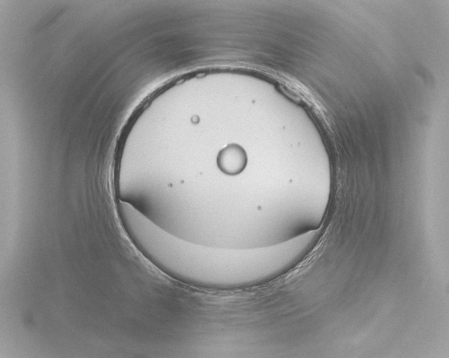 X0000116021334200912181141