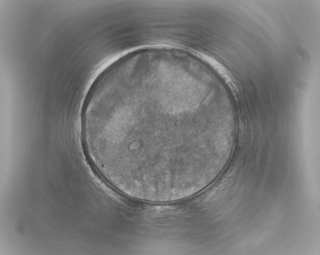 X0000116021335200912181141