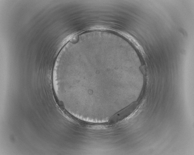 X0000116021337200912181141