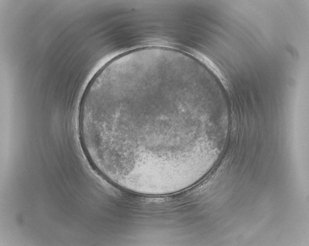 X0000116021339200912181141