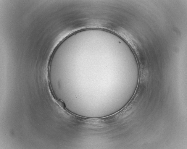 X0000116021342200912181141