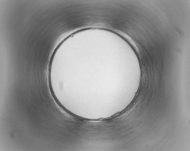 X0000116021343200912181141