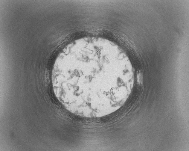 X0000116021347200912181141