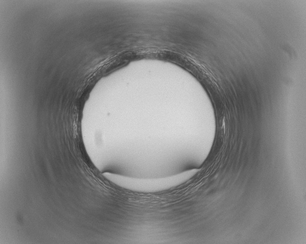 X0000116021348200912181141