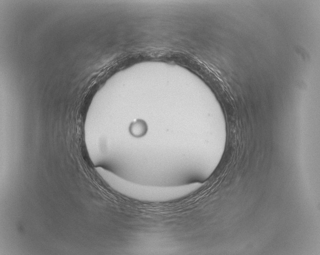 X0000116021349200912181141