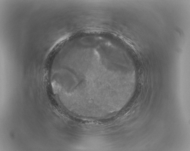 X0000116021351200912181141