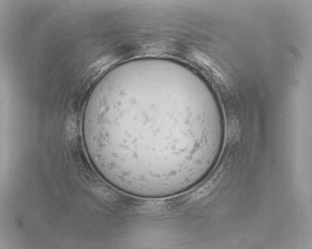 X0000116021353200912181141