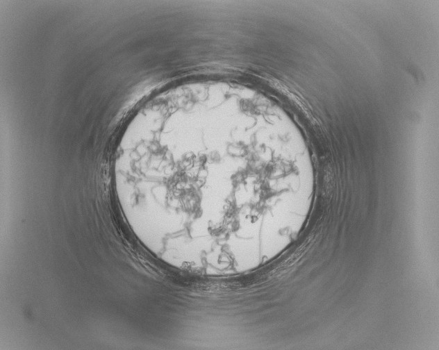 X0000116021355200912181141