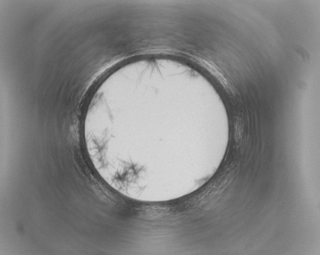 X0000116021356200912181141