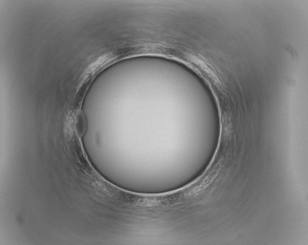 X0000116021357200912181141