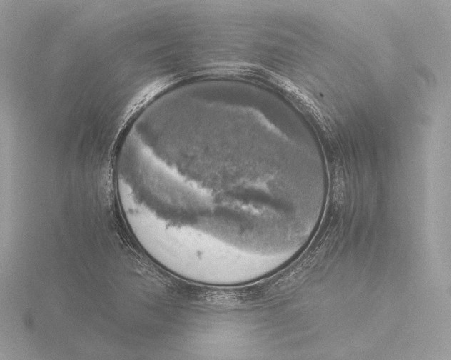 X0000116021362200912181141