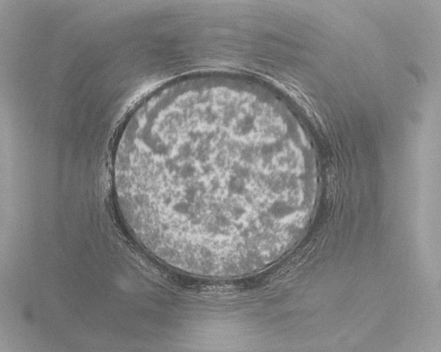 X0000116021363200912181141