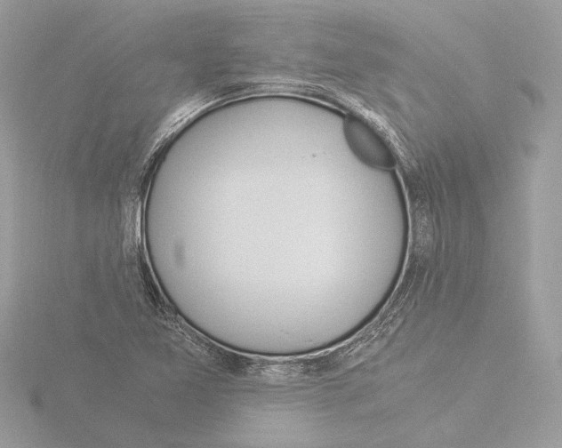 X0000116021365200912181141