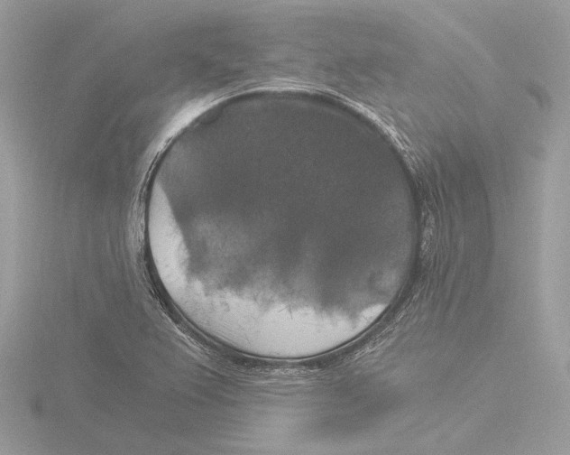 X0000116021367200912181140