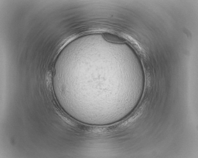 X0000116021369200912181140