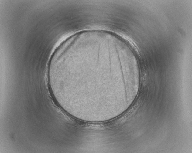 X0000116021374200912181140