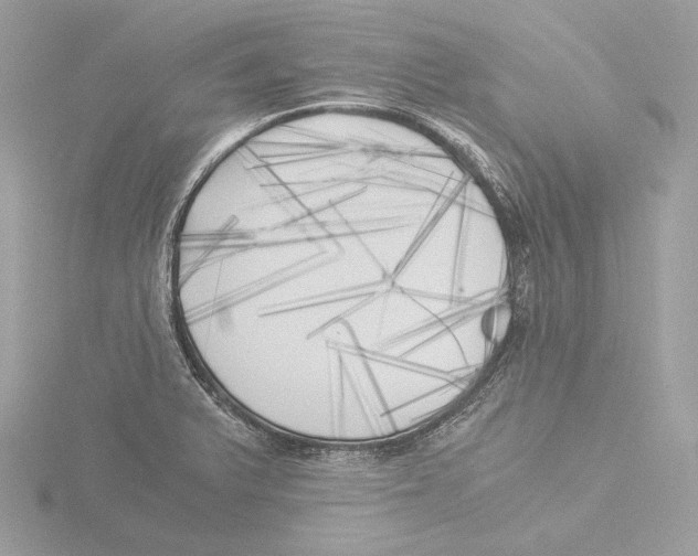 X0000116021375200912181140