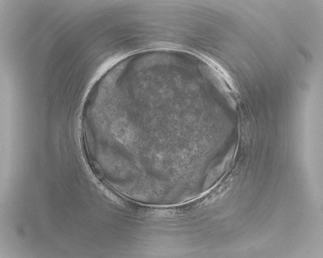 X0000116021381200912181140